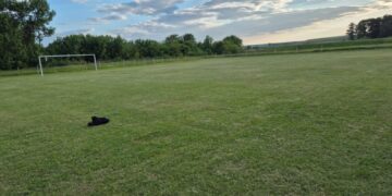 Ștorobăneasa revine în fotbalul județean