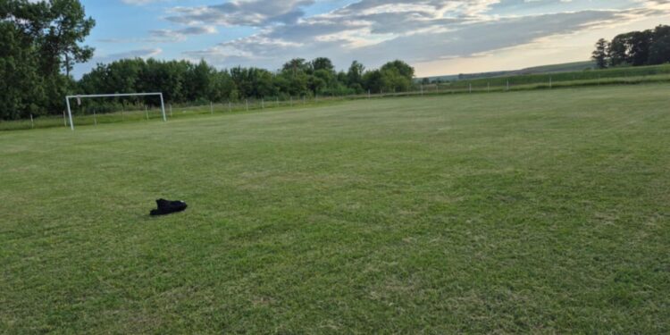 Ștorobăneasa revine în fotbalul județean