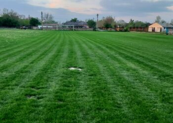 Liga 6 | Pronosticuri Teresport