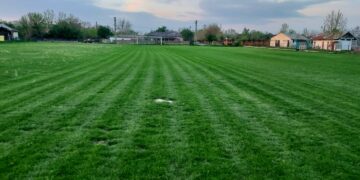 Liga 6 | Pronosticuri Teresport