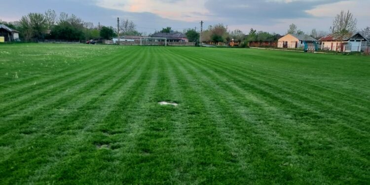 Liga 6 | Pronosticuri Teresport