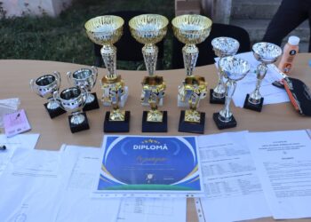 Cupa Satelor | Rezultate