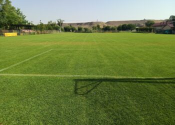 Se cunosc semifinalele | Turneul final al Cupei Teleormanul va avea loc la Saelele