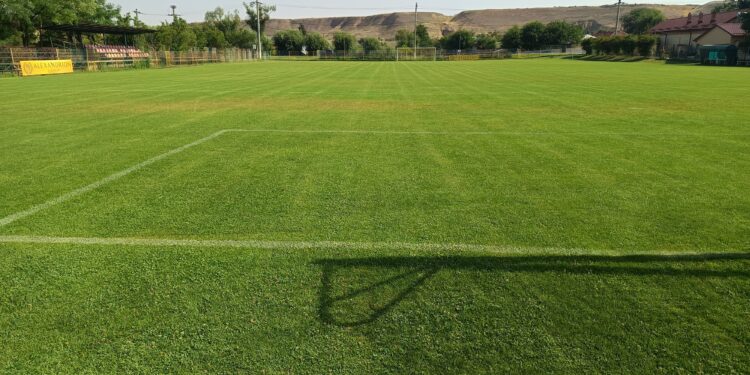 Se cunosc semifinalele | Turneul final al Cupei Teleormanul va avea loc la Saelele