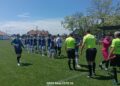 Delegari arbitri