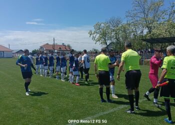Delegari arbitri