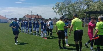 Delegari arbitri