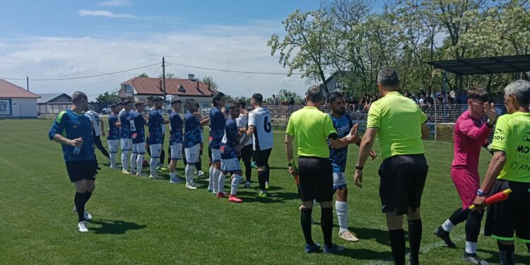 Delegari arbitri